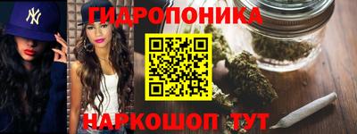 шишки Ирбит